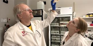 Las moscas revelan la biología de la adicción a la cocaína, llave para impulsar terapias