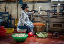 OCDE: la brecha de género se ha mantenido en Latinoamérica en los sectores exportadores