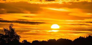 La primavera de 2025 es la más calurosa registrada en Reino Unido