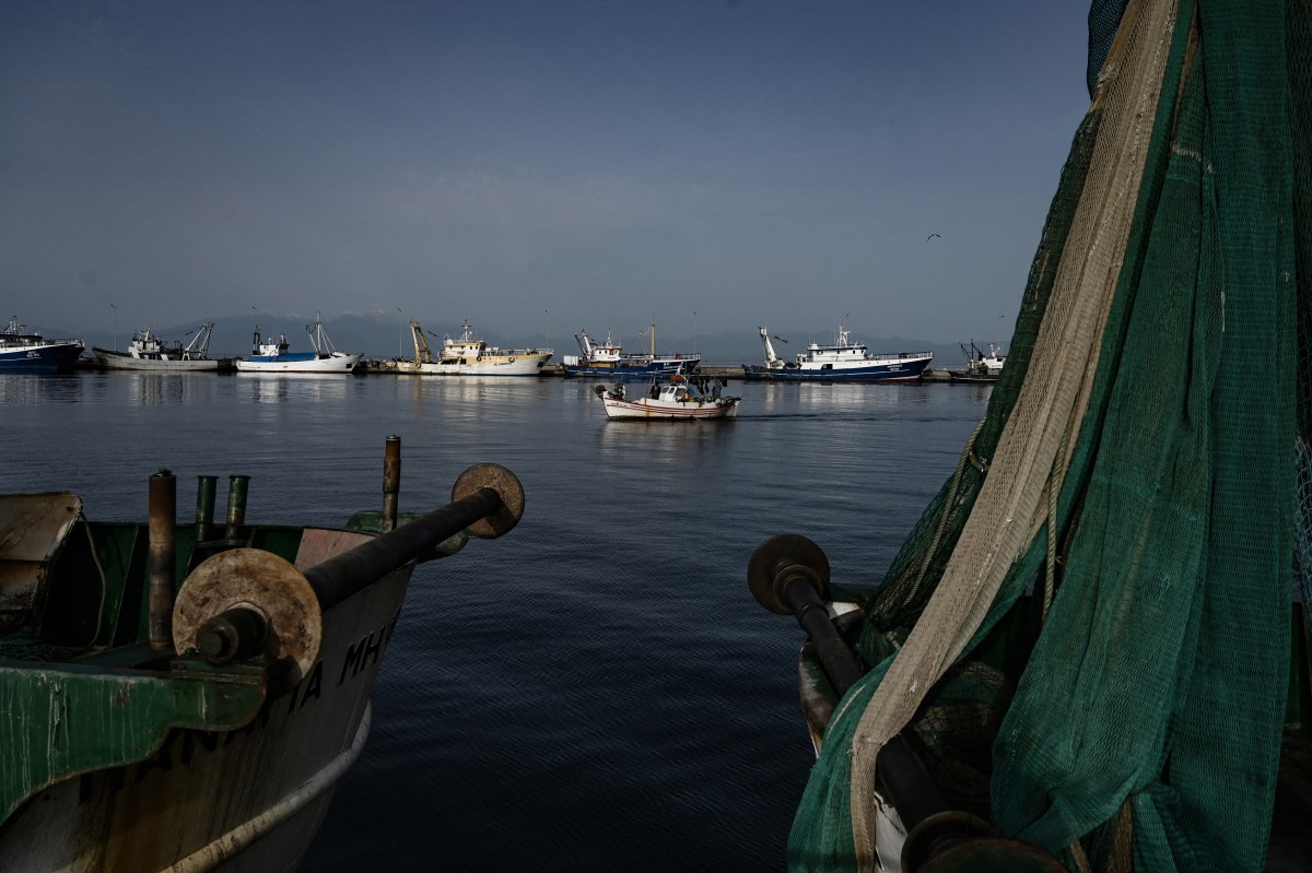 Grecia prohíbe la pesca de arrastre en un archipiélago rico en corales Grecia prohíbe la pesca de arrastre en un archipiélago rico en corales