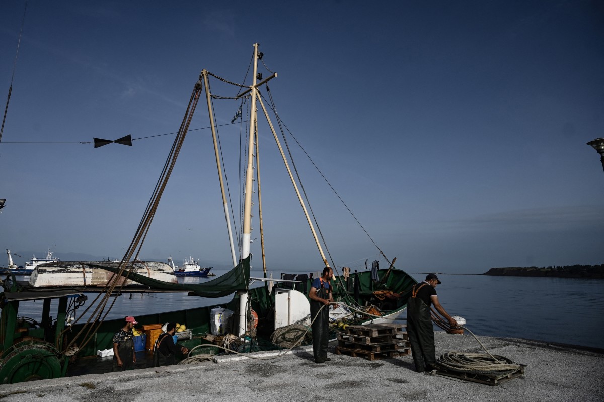 Grecia prohíbe la pesca de arrastre en un archipiélago rico en corales Grecia prohíbe la pesca de arrastre en un archipiélago rico en corales