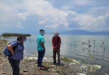 Caso aislado, muerte de peces en Chapala: Proepa