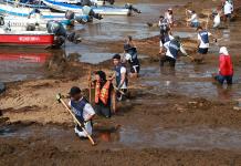 El sargazo vuelve a amenazar la temporada turística en el Caribe mexicano
