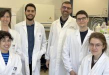 Identifican una nueva fuente de antibióticos naturales dentro de las proteínas
