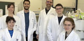 Identifican una nueva fuente de antibióticos naturales dentro de las proteínas