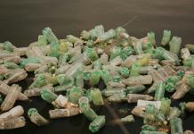 ¡Esperanza en el Océano! Bacterias marinas podrían ser la clave para degradar el plástico