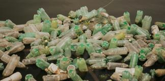 ¡Esperanza en el Océano! Bacterias marinas podrían ser la clave para degradar el plástico