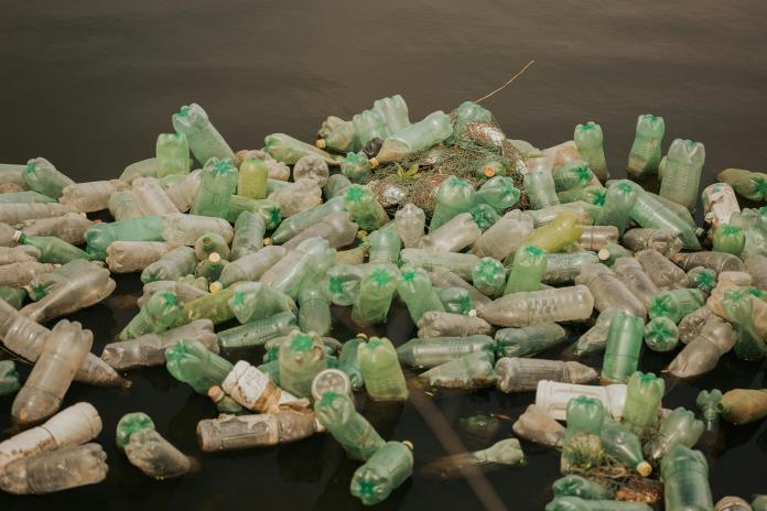 ¡Esperanza en el Océano! Bacterias marinas podrían ser la clave para degradar el plástico ¡Esperanza en el Océano! Bacterias marinas podrían ser la clave para degradar el plástico