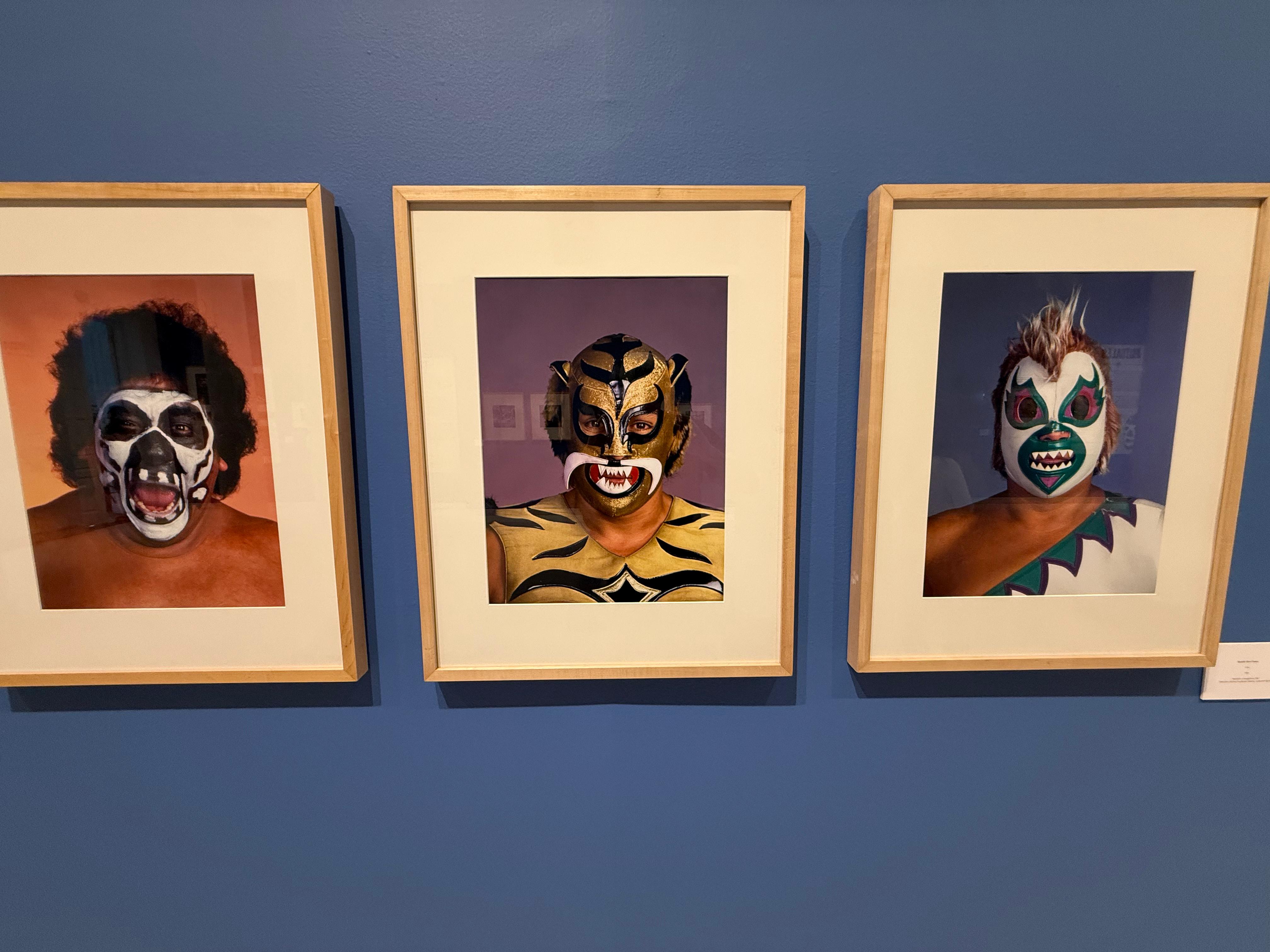 El MUSA se une al FICG con una muestra dedicada a la lucha libre mexicana El MUSA se une al FICG con una muestra dedicada a la lucha libre mexicana