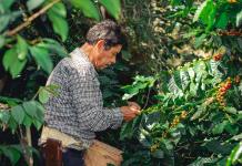 Productores y expertos ven con preocupación efectos de crisis climática en sur de México
