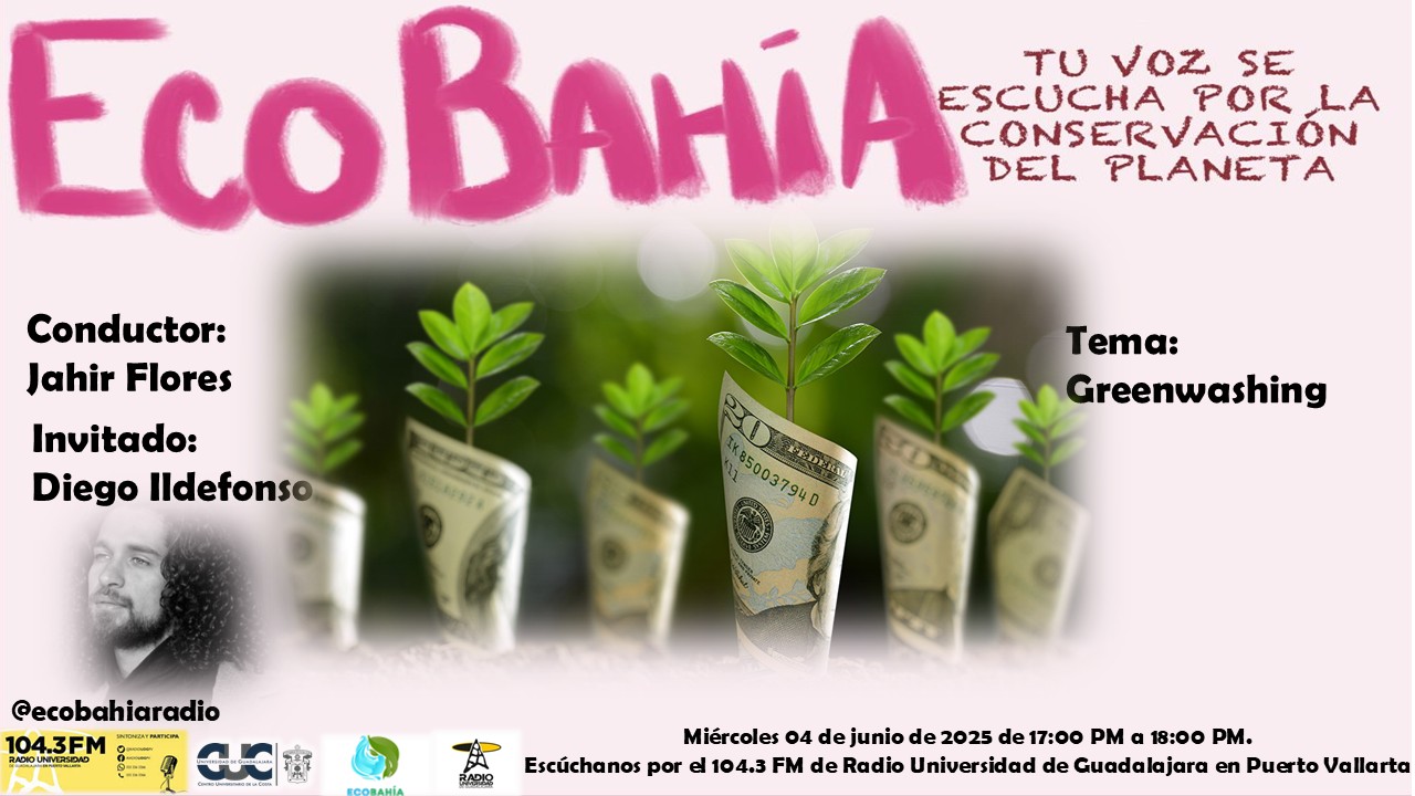 Ecobahía - 04 de Junio del 2025