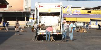 Brigadas de limpieza en Guadalajara intervienen ahora el Mercado de Abastos