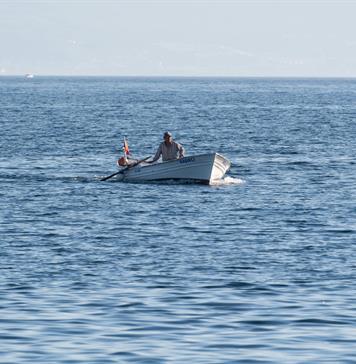 Navieros ven a México como centro de combustibles marinos limpios para A. Latina en 2026 Navieros ven a México como centro de combustibles marinos limpios para A. Latina en 2026