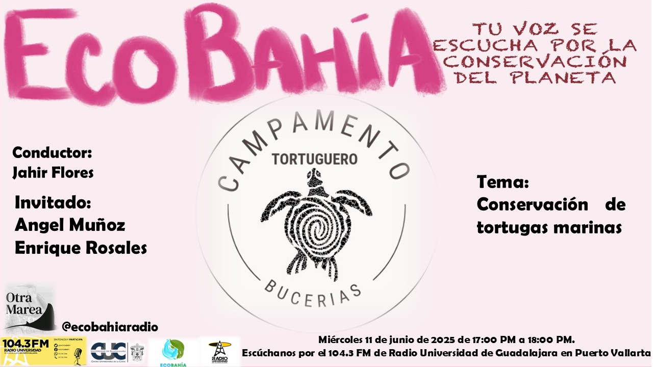 Ecobahía - 11 de Junio 2025 Ecobahía - 11 de Junio 2025