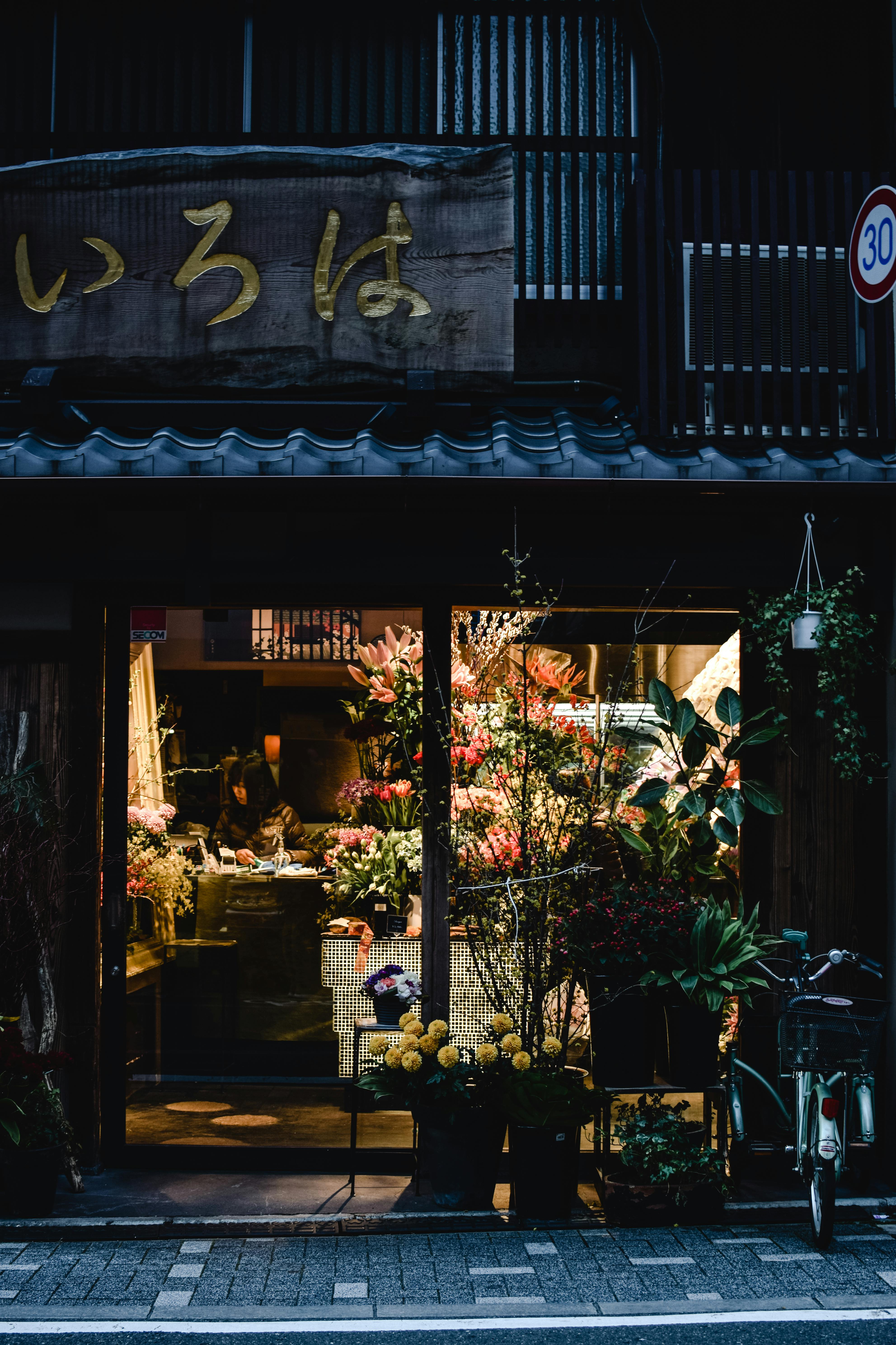 La luz artificial de las ciudades alarga la temporada de crecimiento de las plantas La luz artificial de las ciudades alarga la temporada de crecimiento de las plantas