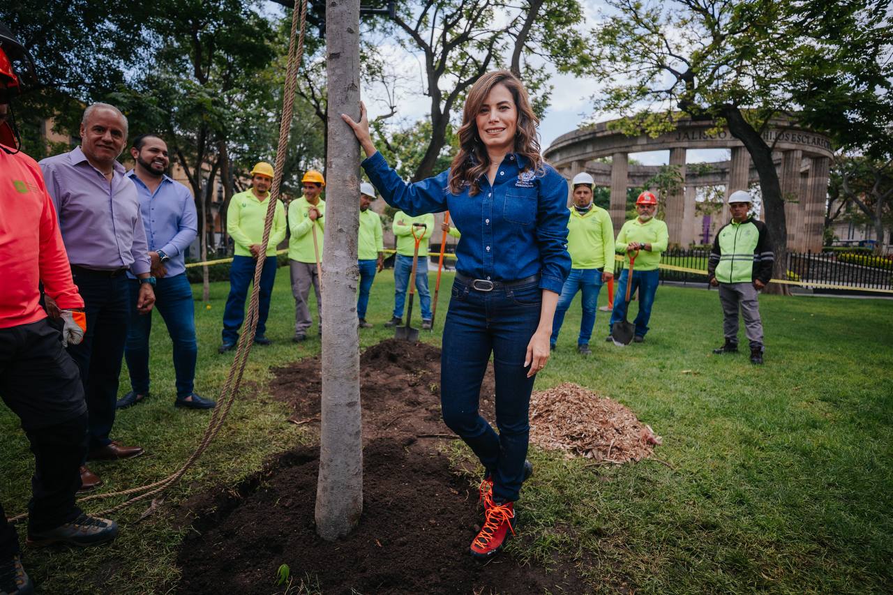 Prometen nueva reforestación masiva en Guadalajara; mil serán plantados en el Centro Prometen nueva reforestación masiva en Guadalajara; mil serán plantados en el Centro