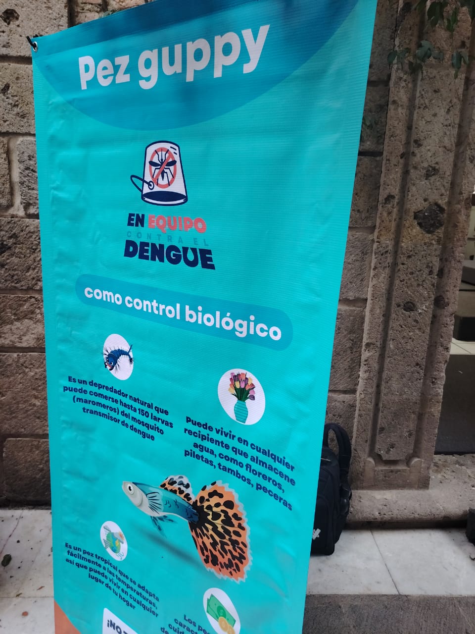 Advierte Salud Jalisco que dengue repuntará a partir de esta semana Advierte Salud Jalisco que dengue repuntará a partir de esta semana