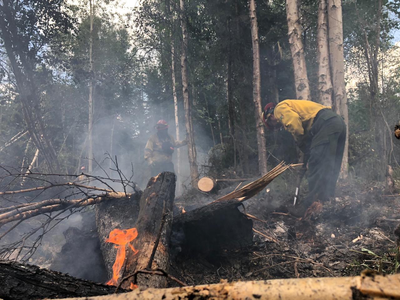 Se queman más de 90 mil hectáreas durante el estiaje; presumen que le fue bien a Jalisco Se queman más de 90 mil hectáreas durante el estiaje; presumen que le fue bien a Jalisco