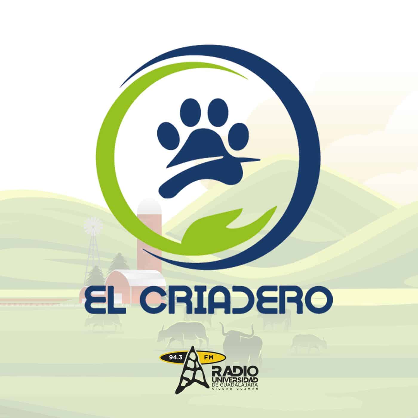 El Criadero | 16 de Junio del 2025 El Criadero | 16 de Junio del 2025