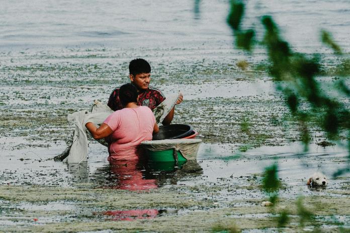 El ‘reverdecimiento’ del océano en los polos podría suponer cambios para la pesca El ‘reverdecimiento’ del océano en los polos podría suponer cambios para la pesca