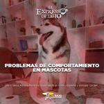 Problemas de comportamiento en mascotas - El Expresso de las 10 - Vi. 20 Junio 2025