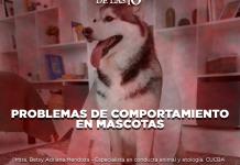 Problemas de comportamiento en mascotas - El Expresso de las 10 - Vi. 20 Junio 2025