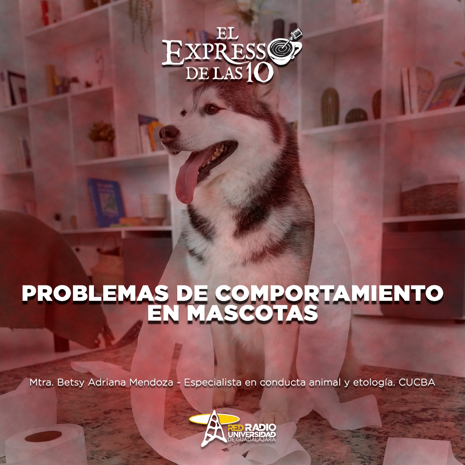 Problemas de comportamiento en mascotas - El Expresso de las 10 - Vi. 20 Junio 2025 Problemas de comportamiento en mascotas - El Expresso de las 10 - Vi. 20 Junio 2025