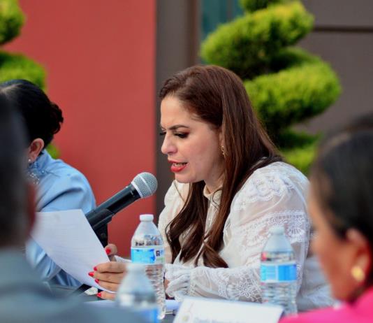 Varias colonias de Zapotlán el Grande siguen sin regularizar
