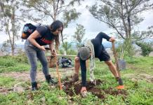 Festejan diez años del colectivo Defendamos el Cerro de la Reina plantando árboles