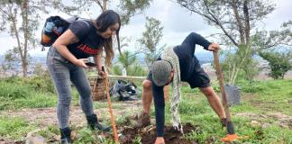 Festejan diez años del colectivo Defendamos el Cerro de la Reina plantando árboles