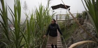 Indígena tiñe de verde el desierto de Lima con una selva escondida
