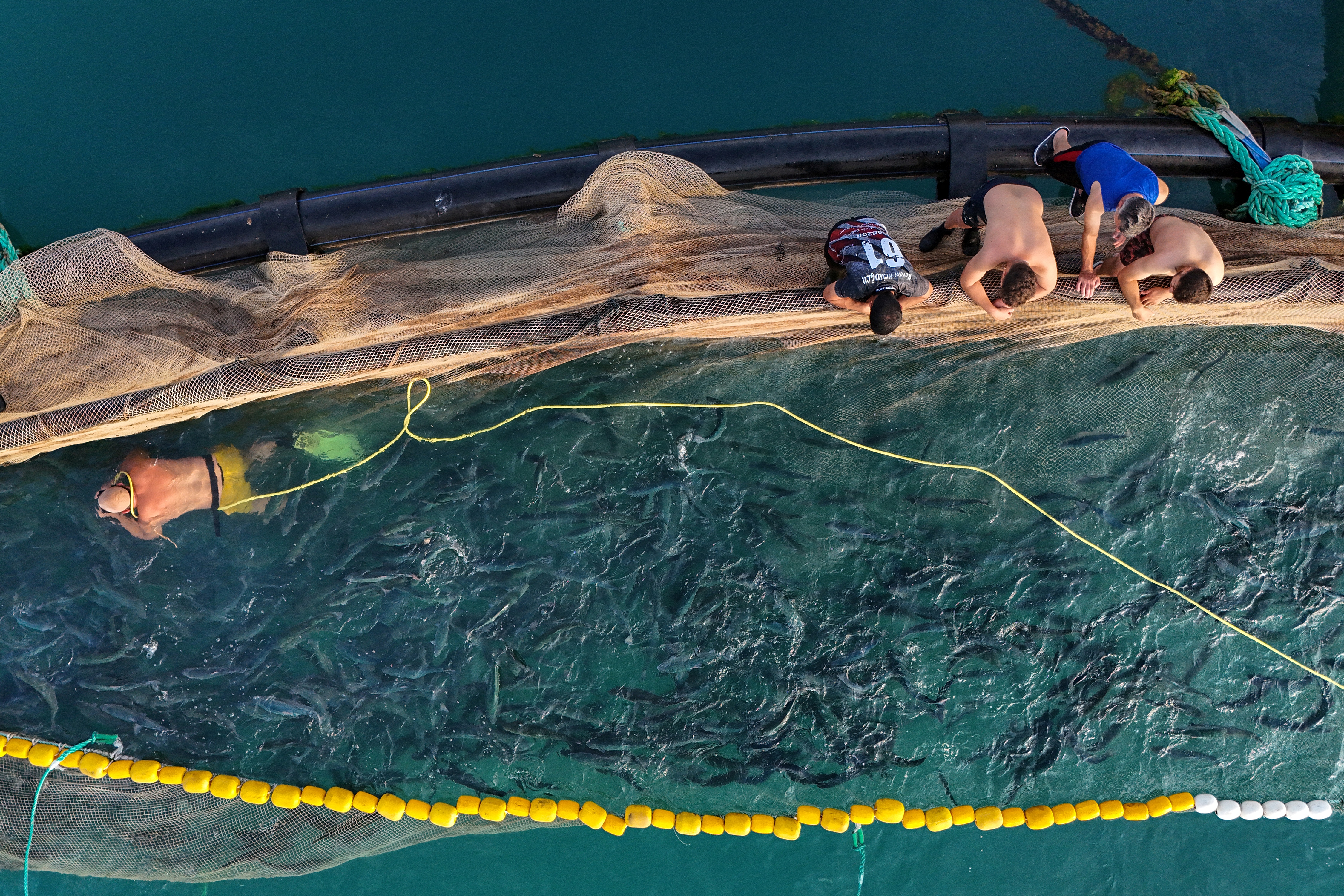 El salmón turco, el nuevo oro rosa del mar Negro El salmón turco, el nuevo oro rosa del mar Negro