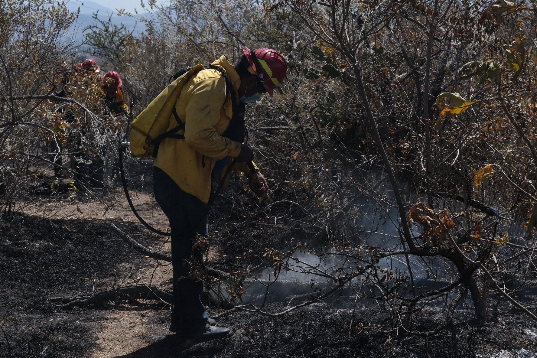 Presumen reducción de incendios en Jalisco; hubo sólo 25 menos Presumen reducción de incendios en Jalisco; hubo sólo 25 menos