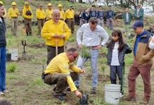Plan de reforestación masiva en Jalisco incluye sólo 136 mil árboles