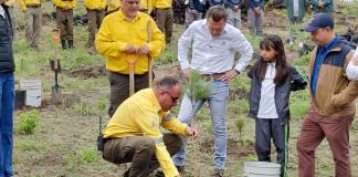 Plan de reforestación masiva en Jalisco incluye sólo 136 mil árboles
