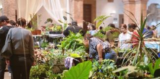 Primera feria de las plantas y las flores en Lagos de Moreno