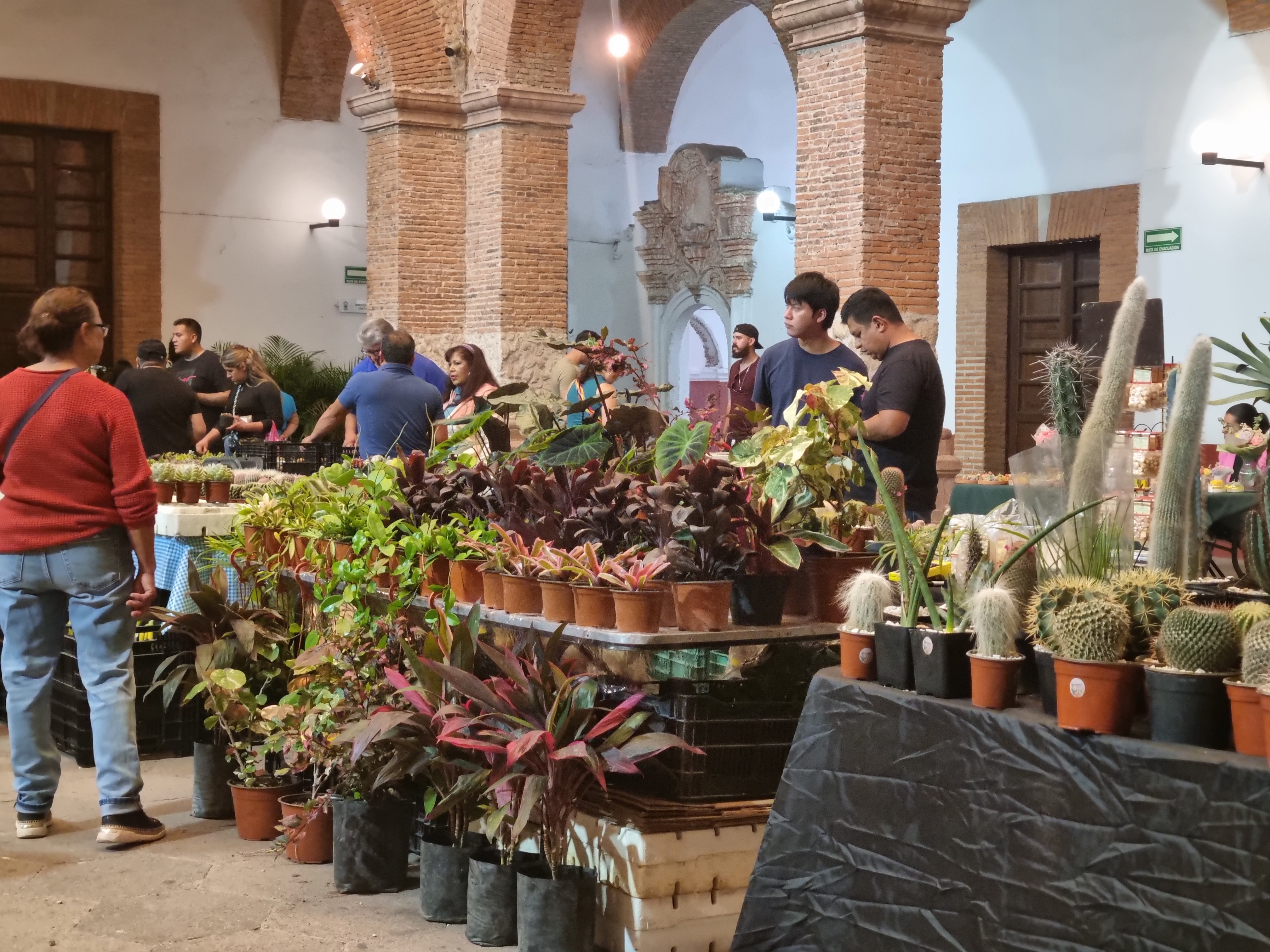 Primera feria de las plantas y las flores en Lagos de Moreno Primera feria de las plantas y las flores en Lagos de Moreno