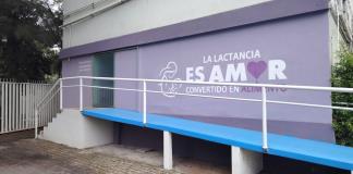 Transforman leche materna en herramienta médica: desde probióticos hasta parches biodegradables