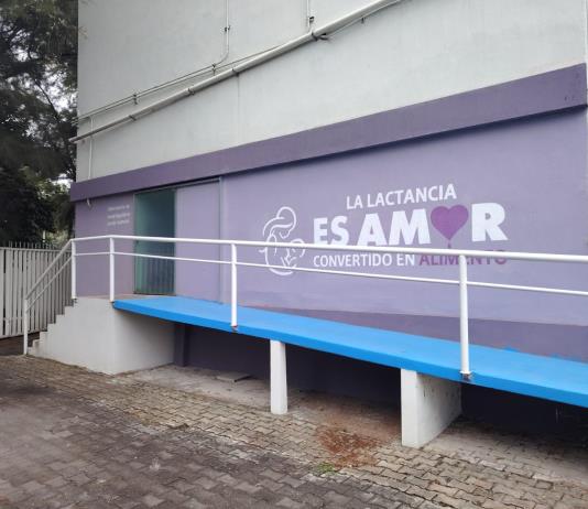 Transforman leche materna en herramienta médica: desde probióticos hasta parches biodegradables