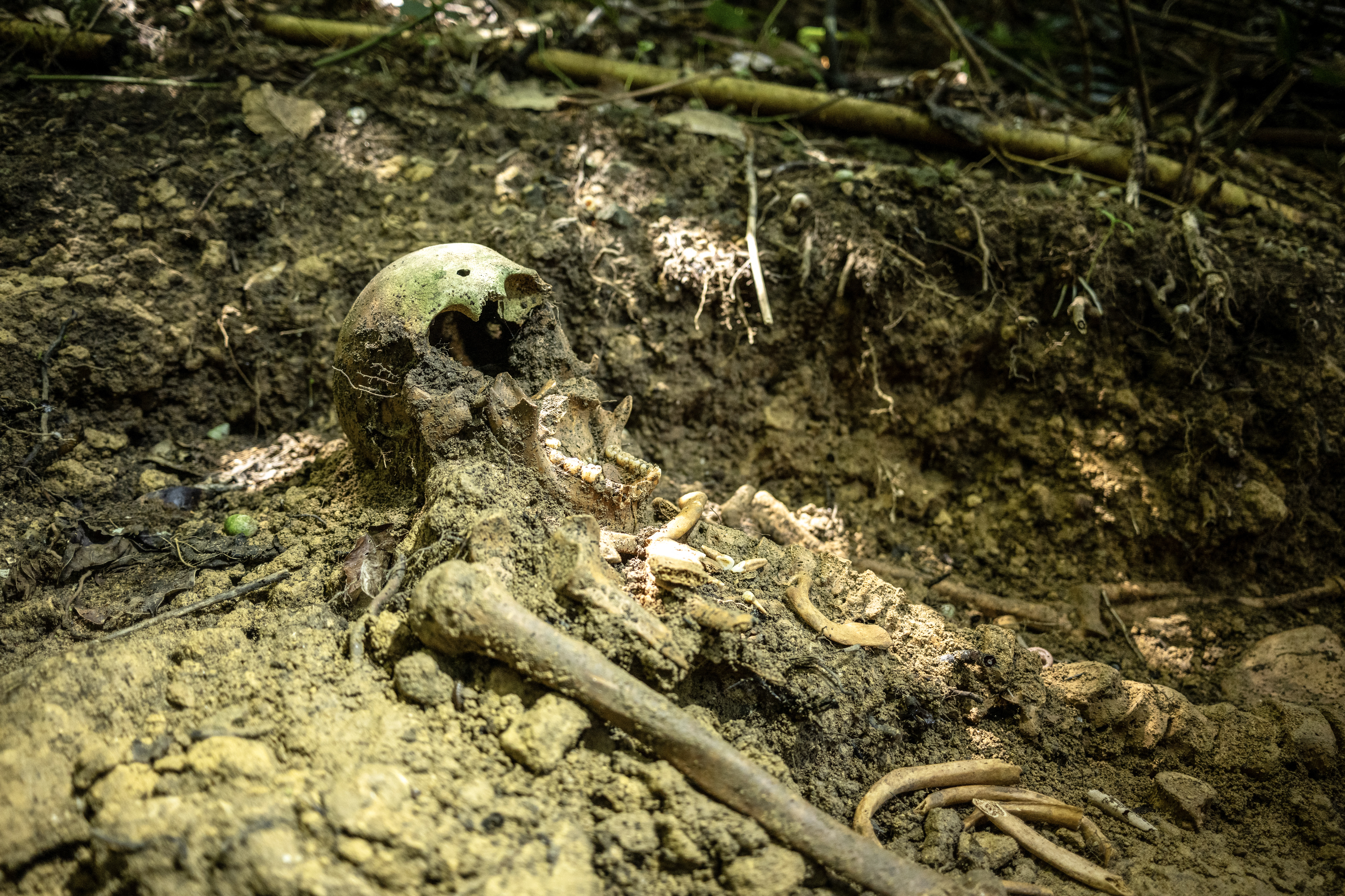 Voluntarios japoneses buscan restos de los muertos en la batalla de Okinawa Voluntarios japoneses buscan restos de los muertos en la batalla de Okinawa