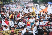 “El gallo nace para pelear”, exclaman defensores de las peleas de gallos