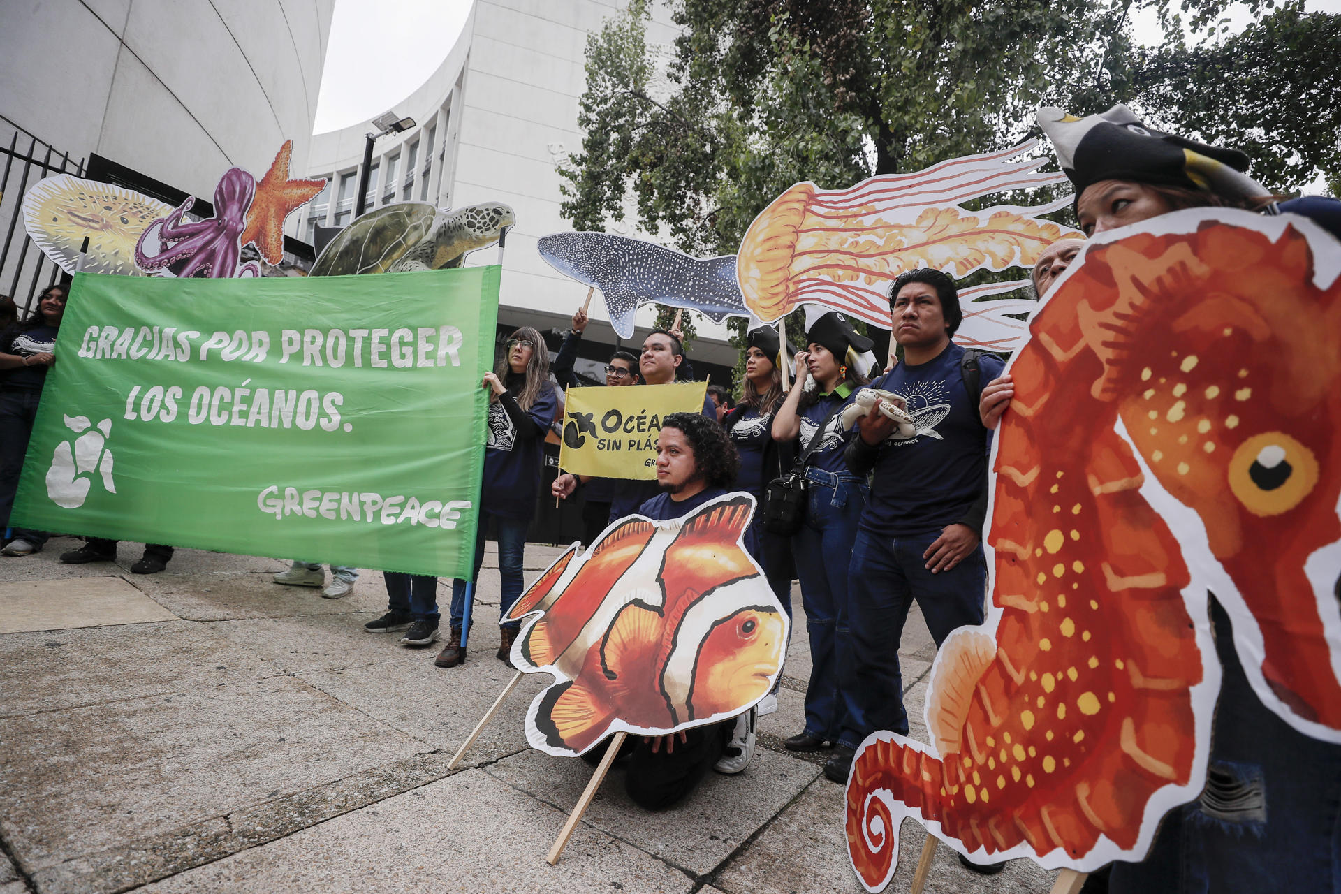 Greenpeace celebra ratificación mexicana de Tratado Global de Océanos Greenpeace celebra ratificación mexicana de Tratado Global de Océanos