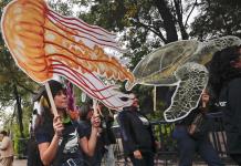 Greenpeace celebra ratificación mexicana de Tratado Global de Océanos