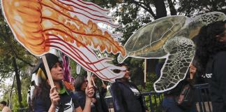 Greenpeace celebra ratificación mexicana de Tratado Global de Océanos