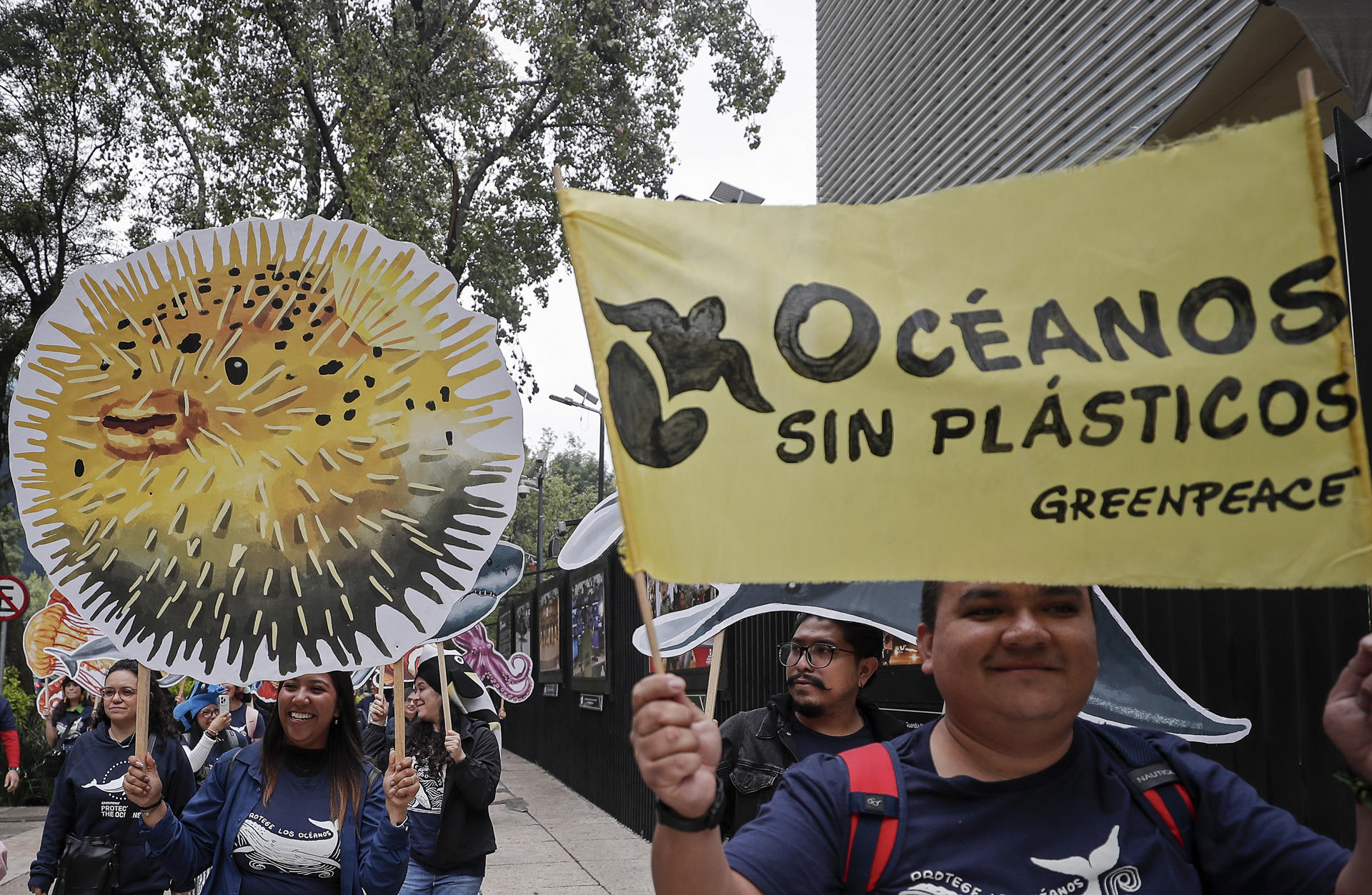 Greenpeace celebra ratificación mexicana de Tratado Global de Océanos Greenpeace celebra ratificación mexicana de Tratado Global de Océanos