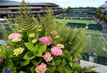 Sin miedo a la lluvia, los jardineros de Wimbledon ultiman los preparativos