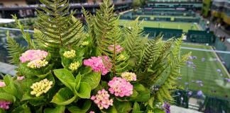 Sin miedo a la lluvia, los jardineros de Wimbledon ultiman los preparativos