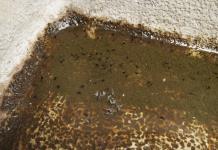 Ante alza en casos de dengue, insisten en retirar agua estancada en casa