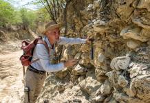 Fósiles de 7.000 años muestran cómo la pesca humana transforma los arrecifes del Caribe