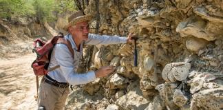 Fósiles de 7.000 años muestran cómo la pesca humana transforma los arrecifes del Caribe